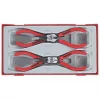 Teng Tools Circlip Pliers Set